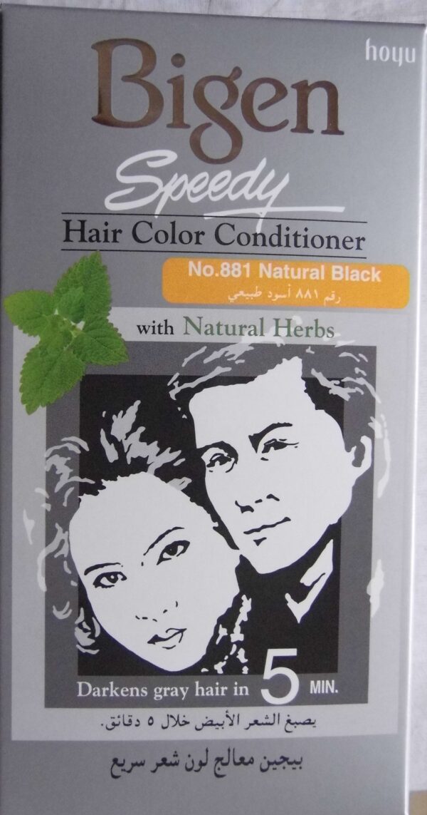 BIGEN SPEEDY HAIR COLOR N/B NO.881