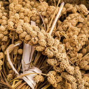 MAYOORA MAPPLAI RICR 500G