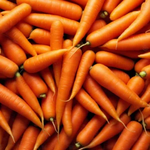 Carrot