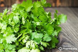 Green Coriander Leaf 1 pc