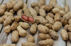 Verkadalai (Peanuts)