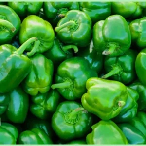 Kudaimilagai (Capsicum)