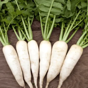 Radish